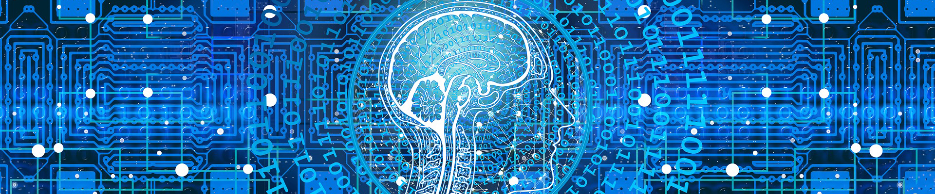 經(jīng)驗(yàn)豐富 